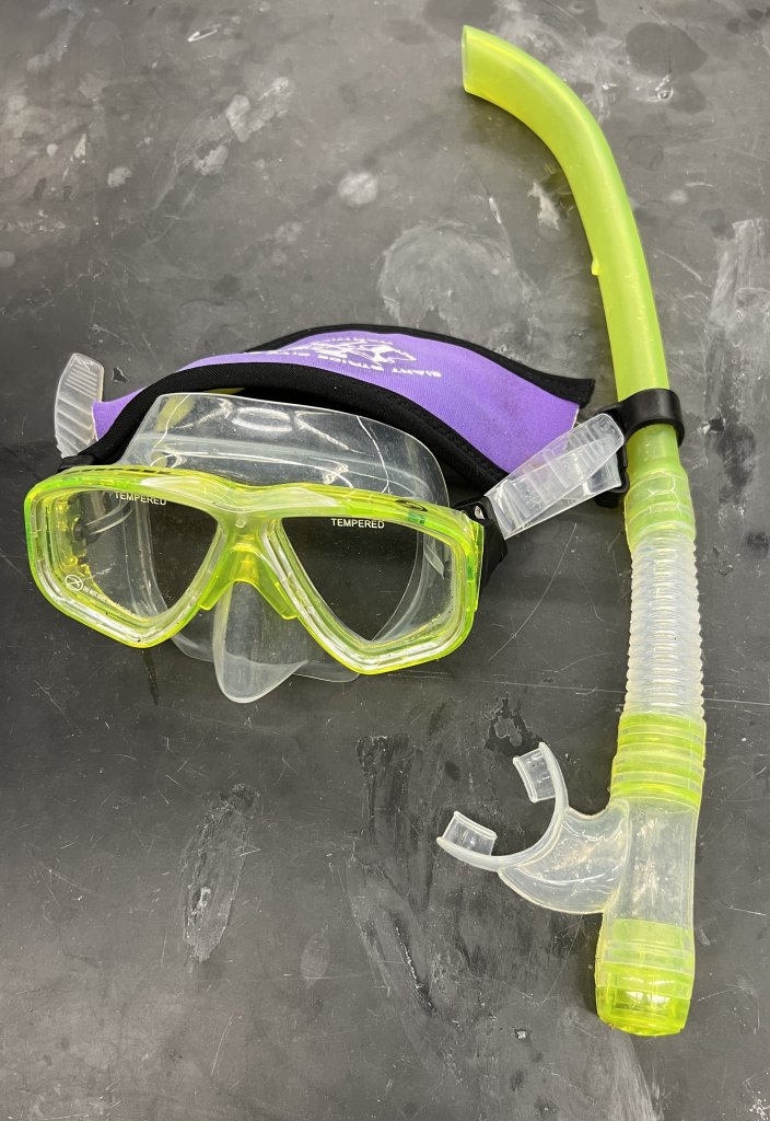 Marine Biology Camp Mask and Snorkel