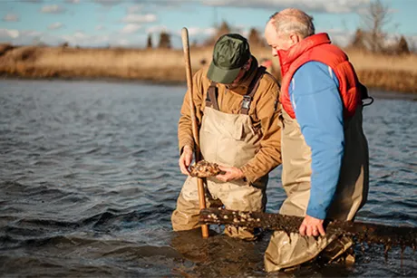 A photo of two men shellfishing.