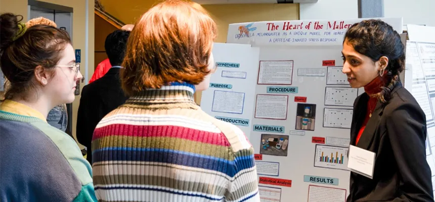 Presenting research