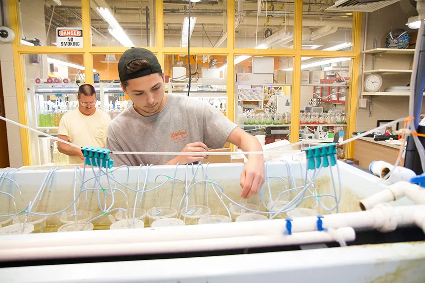 A student in the Wet Lab