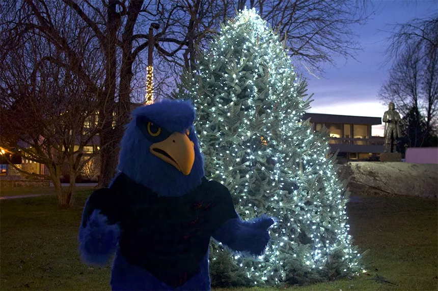 RWU Mascot Swoop standing in front of lit tree.